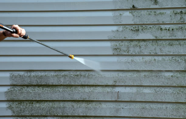 Paint Preparation in Williston Highlands, FL