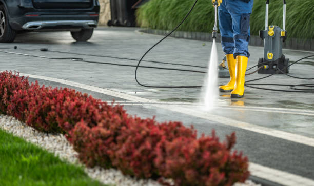 Best Animal Enclosure Cleaning  in Williston Highlands, FL